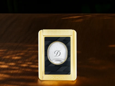 Luxury gold coin case